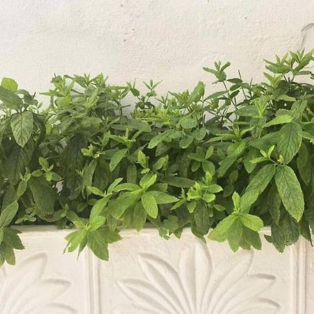 Dolce Vita - In The Heart Of Lefkada - Lefkada Bnb 外观 照片